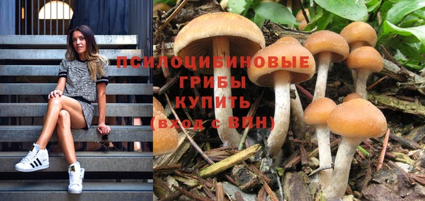 первитин Няндома