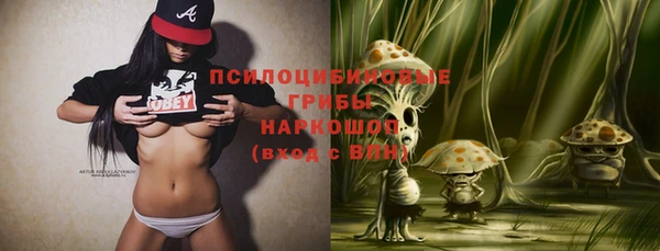 дмт Осташков