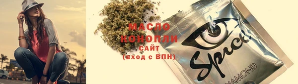 дмт Осташков