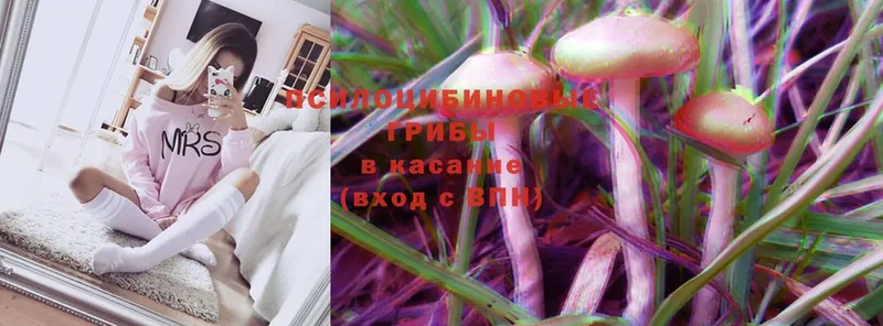 Галлюциногенные грибы Cubensis  KRAKEN как зайти  Исилькуль 